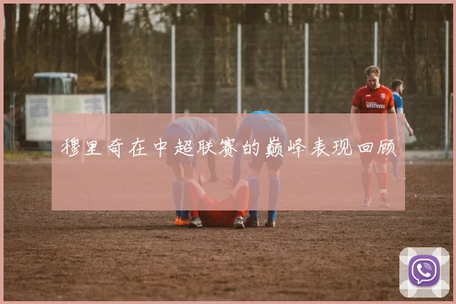 穆里奇在中超联赛的巅峰表现回顾