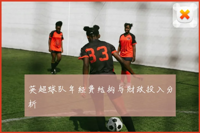 英超球队年经费结构与财政投入分析